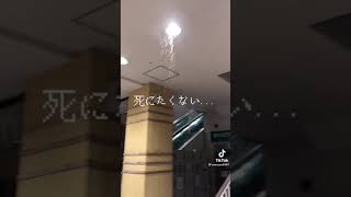 地震 警報 ヤバい 人生終了 怖い 恐怖 避難 防災 災害 screenshot 2