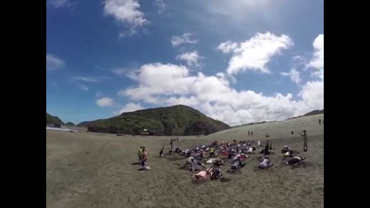 NZ Heads Down Bums Up Climate Action YouTube