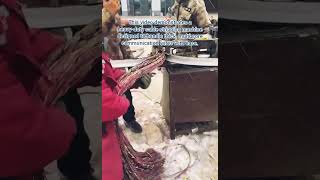 High-Speed Industrial Cable Stripping: Efficient Copper Recovery Machine