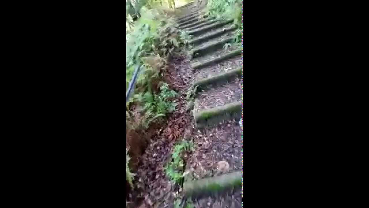 尾鷲 地磯 Youtube