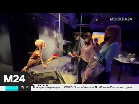 СК проверит анатомическую выставку Body Worlds в Москве - Москва 24