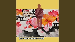 Damp Earth Cracked Slowly