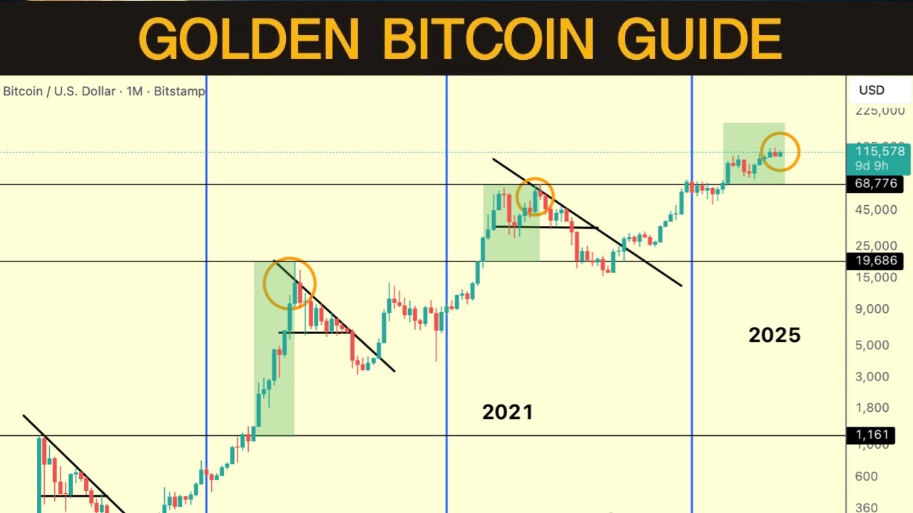 The One Bitcoin Chart That You Need For Success In 2025