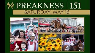 Preakness Stakes Must Use Exacta Horses