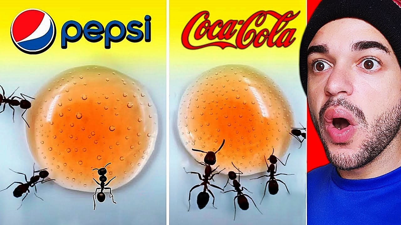 50 COISAS QUE CERTAMENTE VOCÊ NÃO SABIA