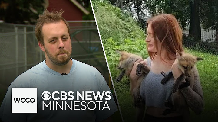 Mikayla Raines' husband shares message after her death by suicide