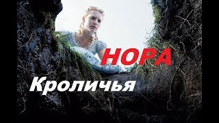 Крольчата в норе. Кроличья нора. Разведение кроликов. Крольчата в норе. Кроличья нора. Разведение кроликов.