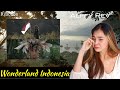 WONDERLAND INDONESIA - by Alffy Rev (ft. Novia Bachmid) Filipina Reaksi Video