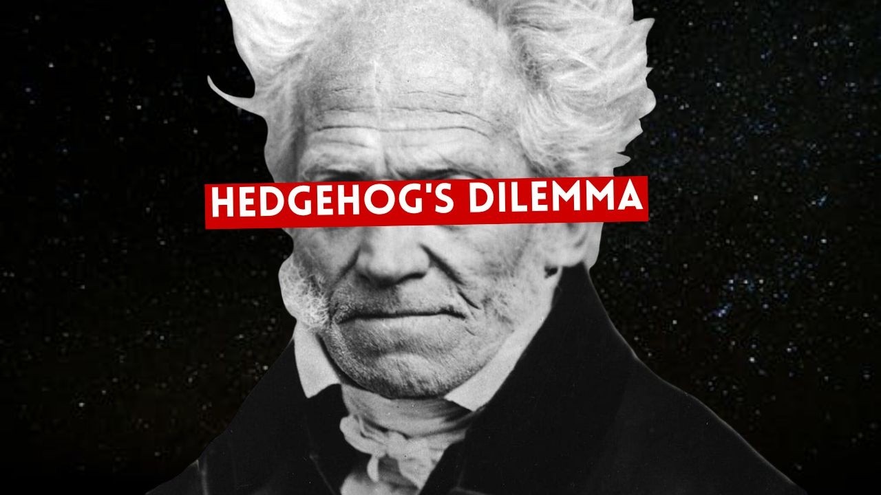 All of Schopenhauer & The Hedgehog's Dilemma EXPLAINED