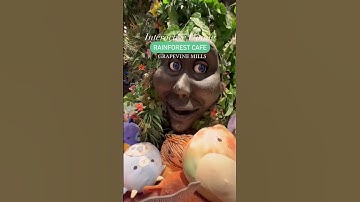 Rainforest Cafe Offers Unique Dining Experience that Kids will Love! Grapevine, Texas