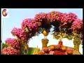 دعاء سجي 