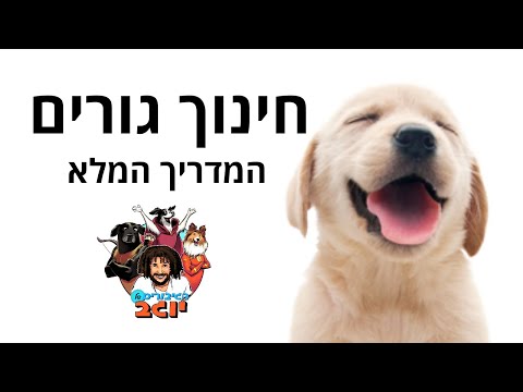 וִידֵאוֹ: מדריך מלא להאכלת גורים