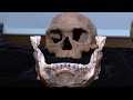 Researchers find oldest Homo sapien remains yet