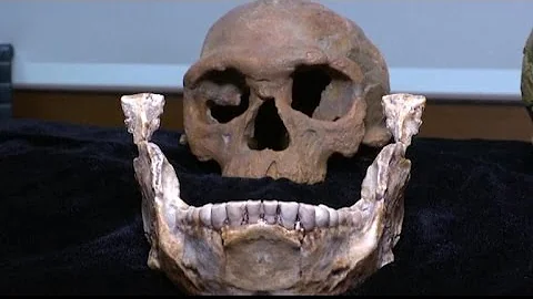 Researchers find oldest Homo sapien remains yet - DayDayNews
