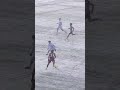 🫨❄️ RAPIDS 2 SNOW CLASICO BRACE