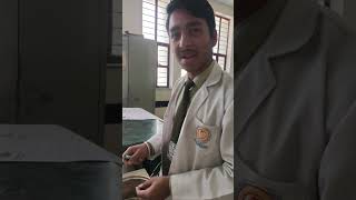 Chana Sattu-A Student In Process Of Making A Natural, Protein-Rich Summer Drink For Refreshment