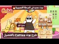 ШґШ Ш ШЁЩ ШЄ Cattea Ш Щ Ш ШЇЩЉШЇ ШЁШ Щ ШЄЩЃШµЩЉЩ рџ Ґ ШЁЩ ШЄ ЩЃЩЉ Ш Щ ЩЃШЄШ Ш Ш Щ ШЄШ Ш ЩЉЩЉШ Щ Щ ЩЃШ ЩЉЩ Catizen вњ пёЏ Ш ЩЉШ ШЇШ Щ ШЁ Щ Щ ЩЉ ШґШ Ш ШЁЩ ШЄ Cattea Ш Щ Ш ШЇЩЉШЇ ШЁШ Щ ШЄЩЃШµЩЉЩ рџ Ґ ШЁЩ ШЄ ЩЃЩЉ Ш Щ ЩЃШЄШ Ш Ш Щ ШЄШ Ш ЩЉЩЉШ Щ Щ ЩЃШ ЩЉЩ Catizen вњ пёЏ Ш ЩЉШ ШЇШ Щ ШЁ Щ Щ ЩЉ