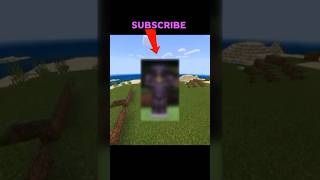 Minecraft's Rarest Armor Makes No Sense#minecraft #armor #shorts