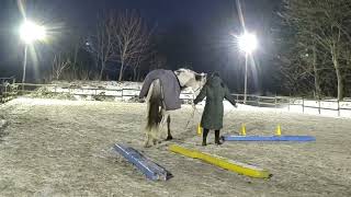 Equikinetic Fahnentraining Positionstraining Wintertraining