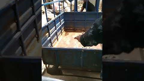 Sugarcane jumbo machine Dispatch video serial number 158