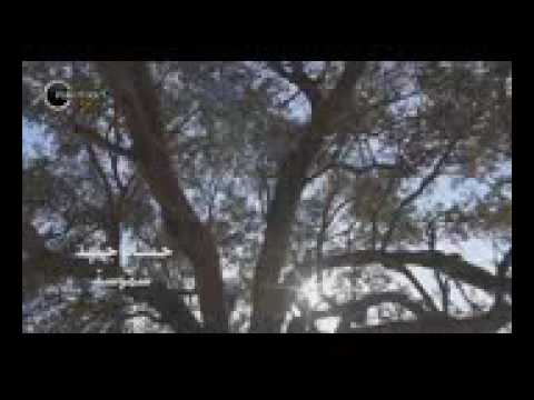 حسام جنيد شموس كليب 2017