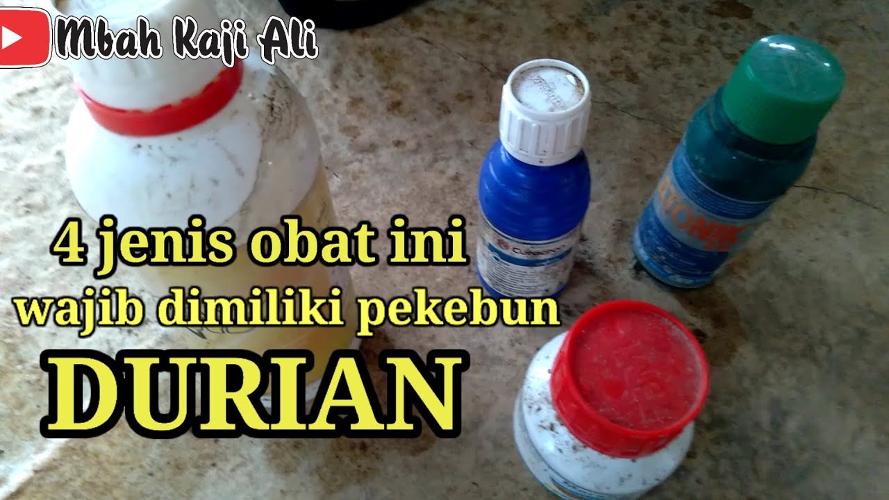 4 jenis Obat ini Wajib dimiliki Pekebun DURIAN Agar Sehat