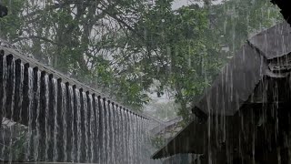 All You Need Is the Sound of Heavy Rain and Thunder to Sleep Better | ASMR ‐ indorain part3