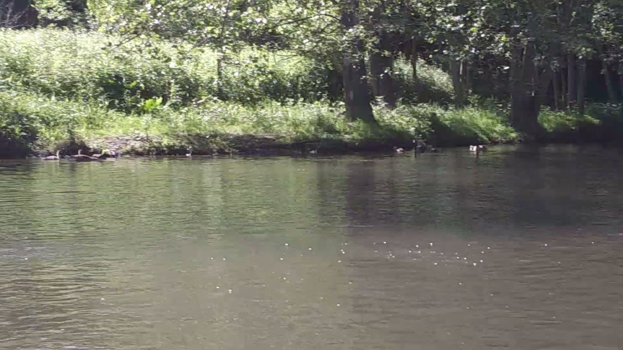 Kayaking down Crooked Creek, Ford City, PA YouTube