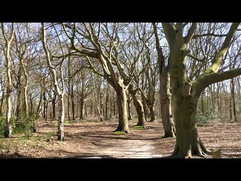 Noordwijk - Landgoed Nieuw Leeuwenhorst, 29 maart 2021