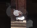 دعوة الشر مين تكون لاحڨاتك هههههههههههههههه هههههههههههههههه والله مقاااديت نسكت بضحك دعوة الشر مين تكون لاحڨاتك هههههههههههههههه هههههههههههههههه والله مقاااديت نسكت بضحك