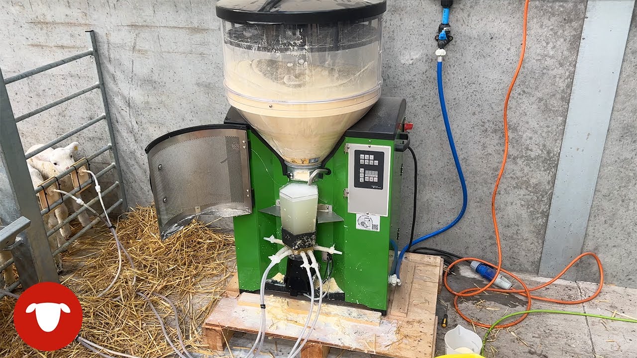 We put the WRONG powder in the MILK MACHINE  |  Day 23 Lambing 23