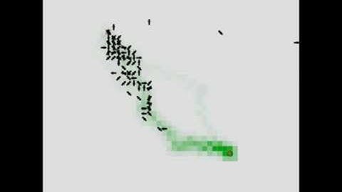 Ant Colony Optimization (AntSIm v1.1)