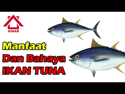 Video: Manfaat Ikan Tuna. Fitur Penggunaan Dan Kontraindikasi