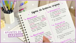 ¿Cómo hago mis apuntes de Derecho? | Haz un apunte conmigo 🌿📝 by Shirlhy Heras 29,624 views 10 months ago 6 minutes, 29 seconds