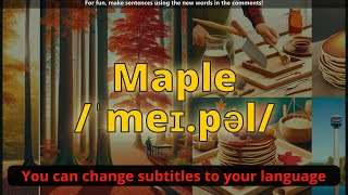 Maple meaning with 5 examples