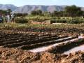 Moroccan Villagers Make Their Desert Bloom