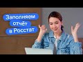 Расслабленно заполняем отчёт 1-Предприниматель  // Сплошное наблюдение Росстата 2021