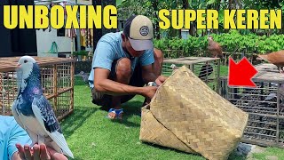 UNBOXING MERPATI BARU SUPER KEREN PALING BEDA KARAKTERNYA