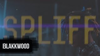 Psycho Rhyme - Spliff (Official 4K)