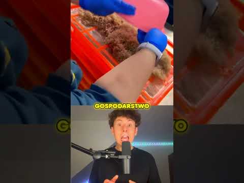 TAJEMNICZE ZWIERZĘ..🤫😱