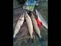 Рыбалка на реке Подпольная Ростовская область    ноябрь 2017