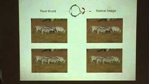 2009 Heller Lecture - Markus Meister: Neural computations in the retina