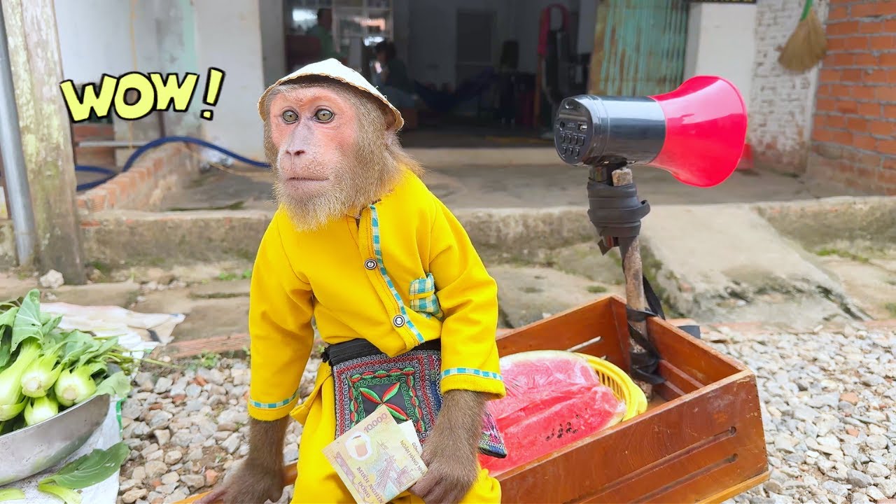 Business Genius! CUTIS's New Strategy Sells Out & Earns Fast!