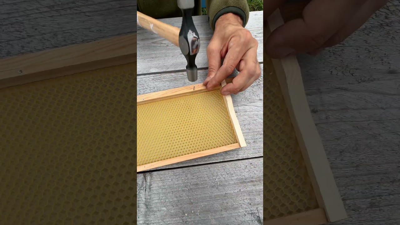 Making Up A Super Frame With Pins + Hammer 🔨 #14daybeekeeper #14dbk #beekeeping #bees
