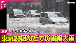 日テレNEWSの配信のサムネイル画像