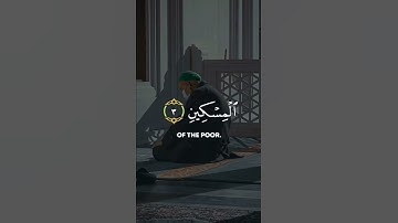 آيات بينات من الذكر الحكيم ♥️