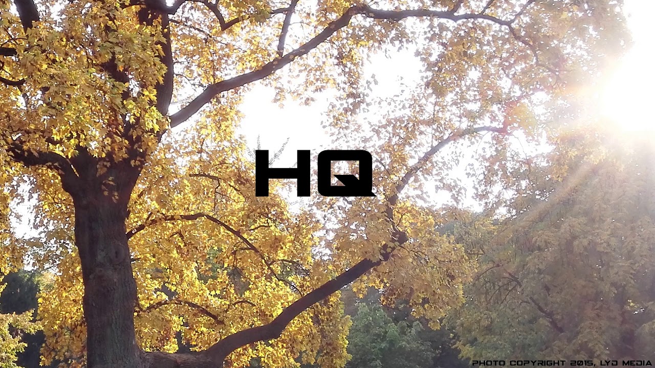 Rage against the machine - Bulls on parade (HQ)