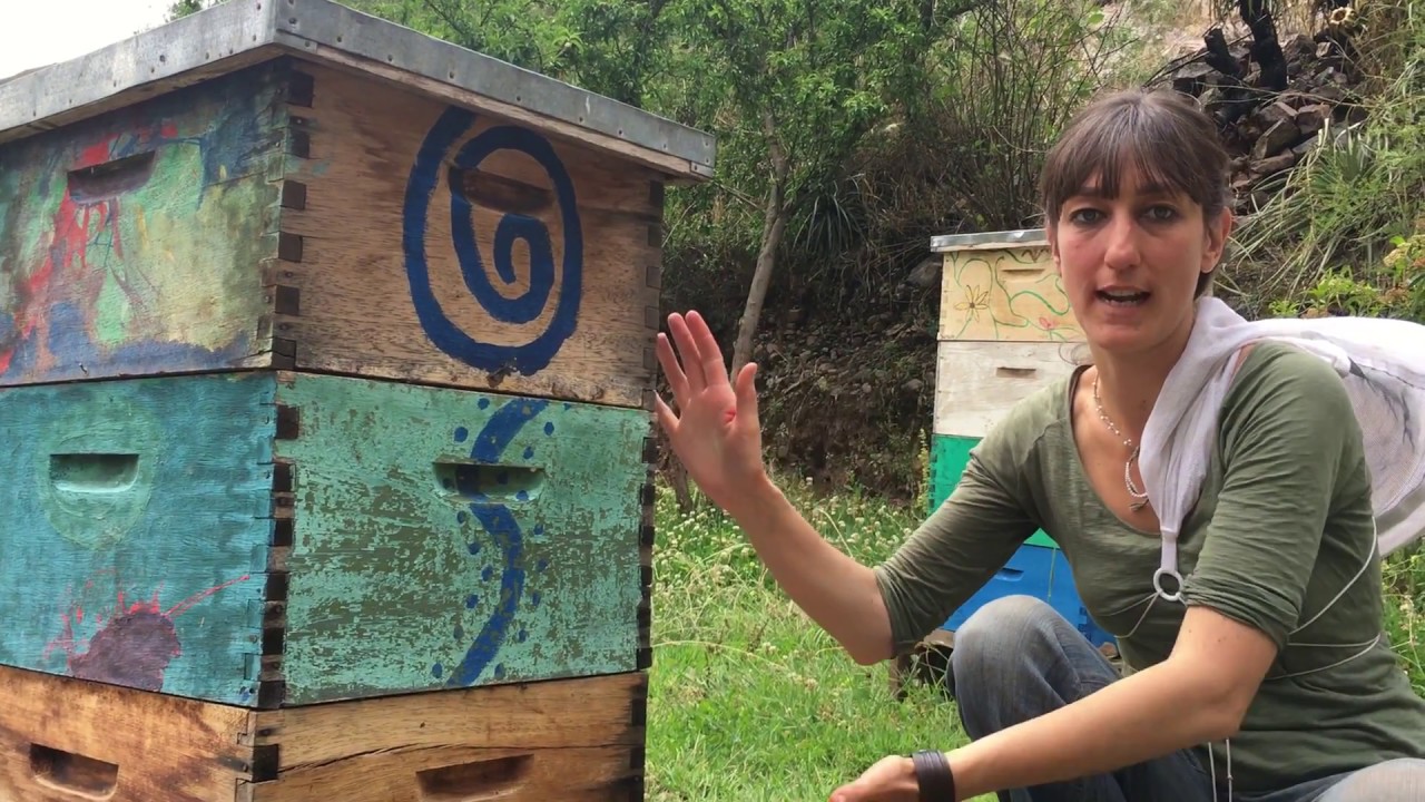 Alicia Arribas. Santuario de las abejas, Valle sagrado de los incas, Cusco, Perú.
