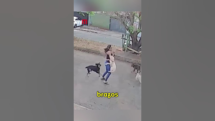 This woman protected her pet from a dog attack #dogs #pets