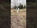Прогулянка мікрорайоном "ОСТРІВ" ХЕРСОН Впізнаєте рідні місця? Відео від @supportkherson